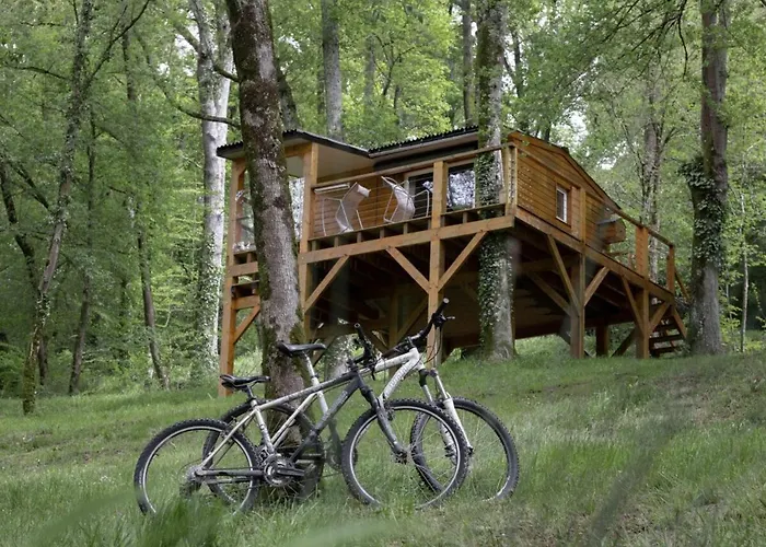 Les Du - - Petit Déjeuné - Du Frêne&cabane Du Chêne Premium